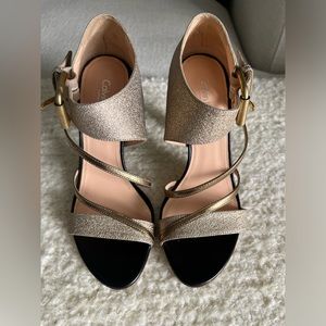 Calvin Klein Collection